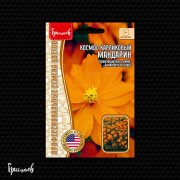 Космос Мандарин карликовый Космос Мандарин карликовый