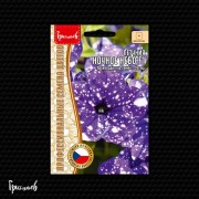 Петуния Ночное Небо F1 многоцветковая