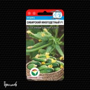 Огурец Сибирский многодетный