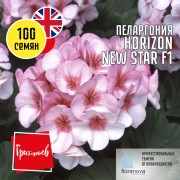 Пеларгония Горизонт Новая Звезда F1