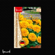 Бархатцы Сафари Золотые отклонённые