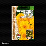 Космос Золотой Ковёр карликовый