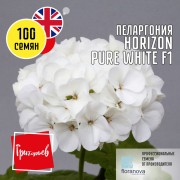 Пеларгония Горизонт Чисто-Белая F1