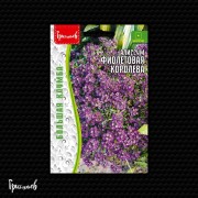 Алиссум Фиолетовая Королева Алиссум Фиолетовая Королева