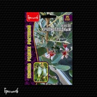 Фейхоа Крупноплодный