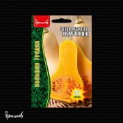 Тыква Жемчужина мускатная