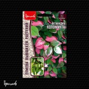 Актинидия Коломикта (12 шт.) Актинидия Коломикта (12 шт.)