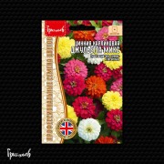 Цинния Джульетта Микс карликовая Цинния Джульетта Микс карликовая