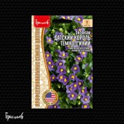 Экзакум Датский Король Тёмно-Синий