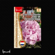 Пеларгония Булз Ай Светло-Розовая зональная