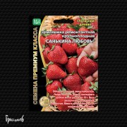 Земляника Санькина любовь ремонтантная Земляника Санькина любовь ремонтантная