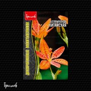 Беламканда Китайская Беламканда Китайская