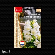 Львиный Зев Твинни Белый F1 махровый