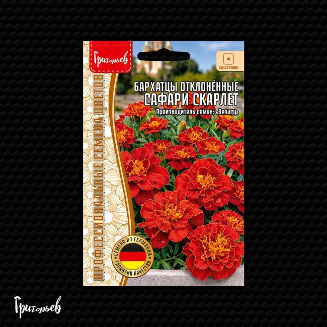 Бархатцы Сафари Скарлет отклонённые