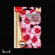 Гвоздика Диана Алая Пикоти F1 китайская