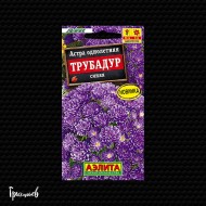Астра Трубадур синяя