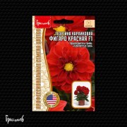 Георгина Фигаро Красная F1 карликовая Георгина Фигаро Красная F1 карликовая