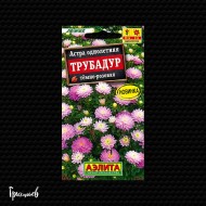 Астра Трубадур Темно-розовая