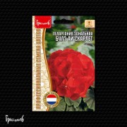 Пеларгония Булз Ай Скарлет зональная