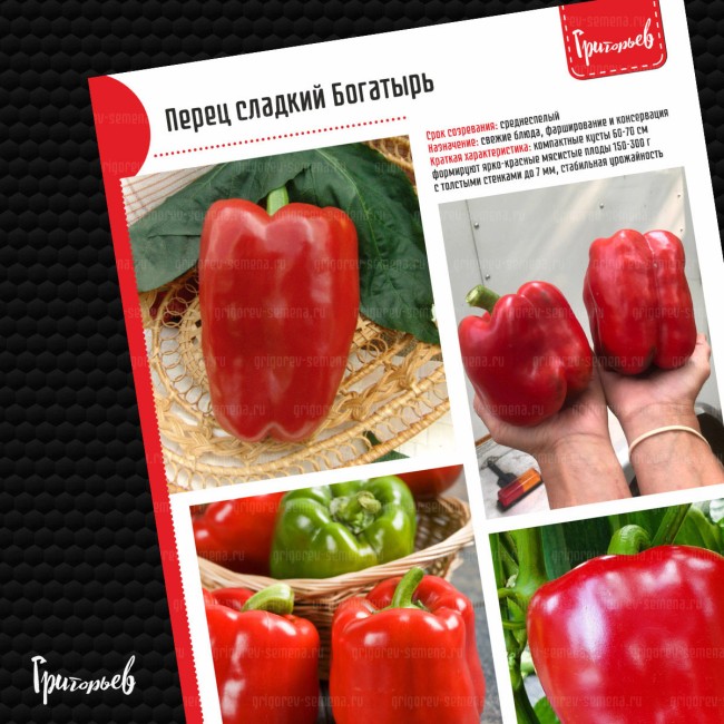 Перец сладкий Богатырь