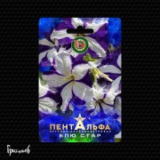 Петуния Пентальфа блюстар F1 крупноцветковая