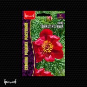 Пион Тонколистный