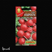 Редис Бодрость