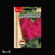 Пеларгония Булз Ай Вишнёвая зональная