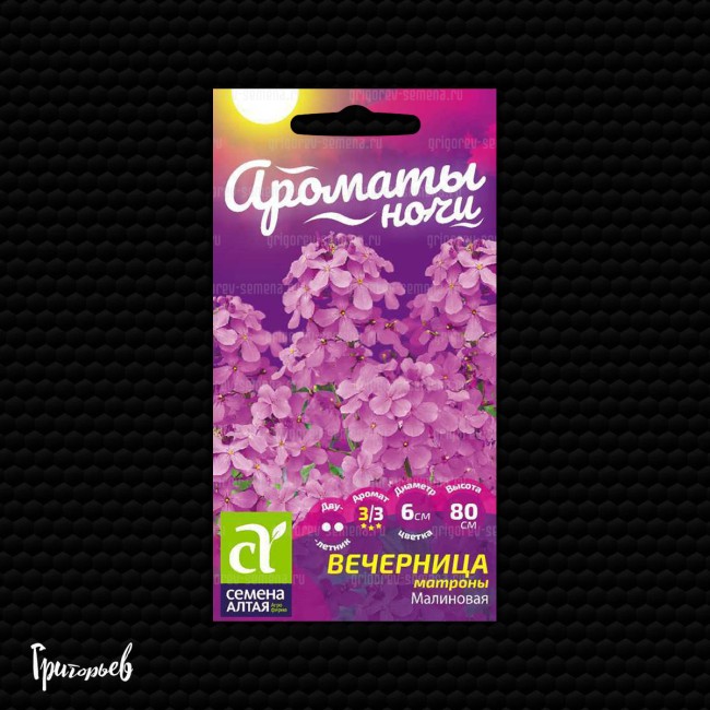 Вечерница Малиновая матроны