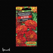 Бархатцы Аспен красный