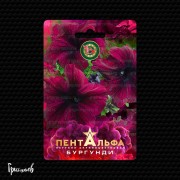 Петуния Пентальфа бургунди F1 крупноцветковая