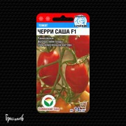 Томат Саша черри