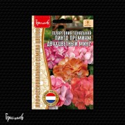 Пеларгония Пинто Премиум Двухцветный Микс зональная