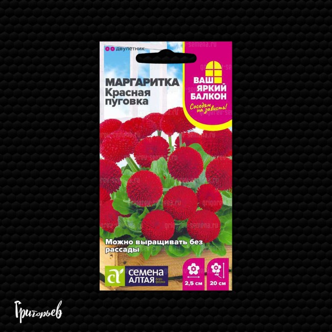 Маргаритка Красная пуговка