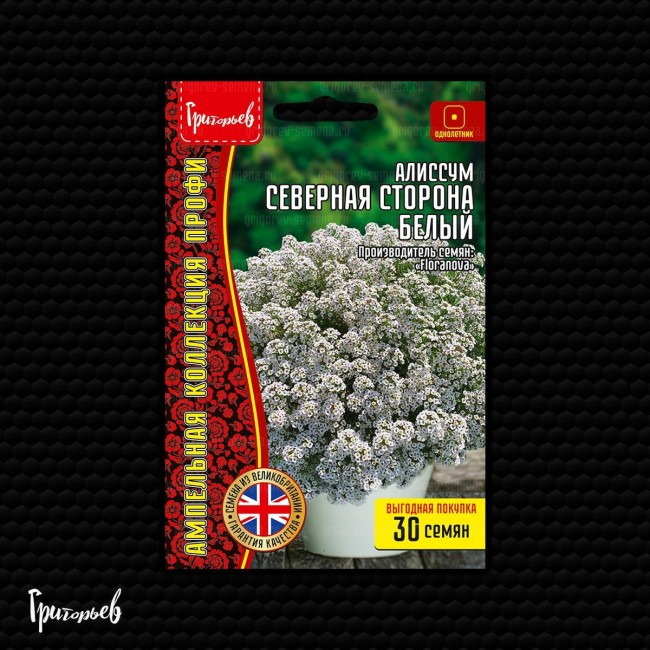 Алиссум Северная Сторона Белый