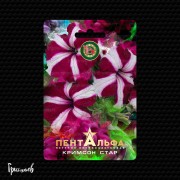 Петуния Пентальфа кримсон стар F1 крупноцветковая