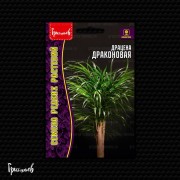 Драцена Драконовая Драцена Драконовая