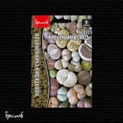 Литопс Живые Камни смесь Литопс Живые Камни смесь