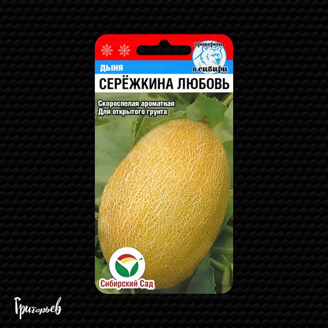 Дыня Сережкина любовь