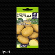 Картофель Импала