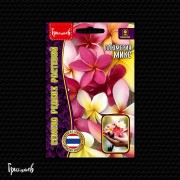 Плюмерия Микс Плюмерия Микс