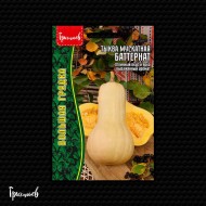 Тыква Баттернат мускатная