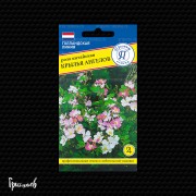 Роза Китайская Роза Китайская