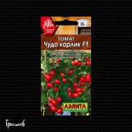 Томат Чудо карлик F1