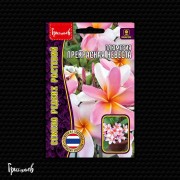 Плюмерия Прекрасная Невеста Плюмерия Прекрасная Невеста