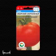Томат Сибирский скороспелый