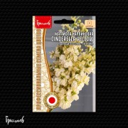 Маттиола Синдерелла Жёлтая карликовая Маттиола Синдерелла Жёлтая карликовая