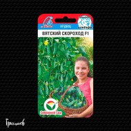 Огурец Вятский скороход