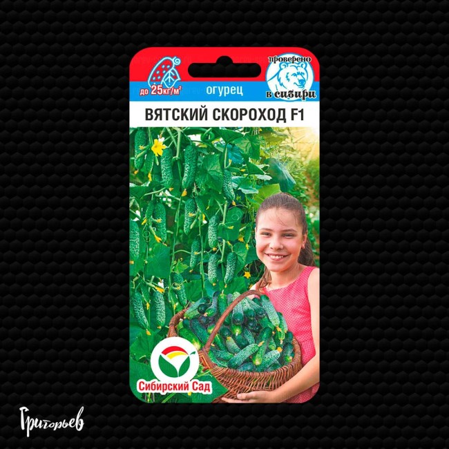 Огурец Вятский скороход
