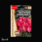 Пеларгония Пинто Премиум Розовая Нежность зональная